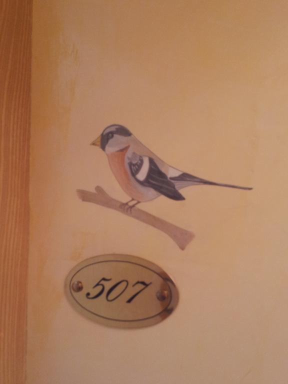 أرابّا Chalet Brigitte B&B المظهر الخارجي الصورة