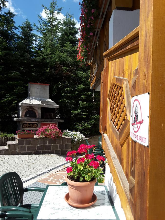 أرابّا Chalet Brigitte B&B المظهر الخارجي الصورة